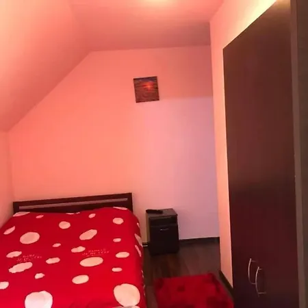Casa 7 Izvoare Borsec